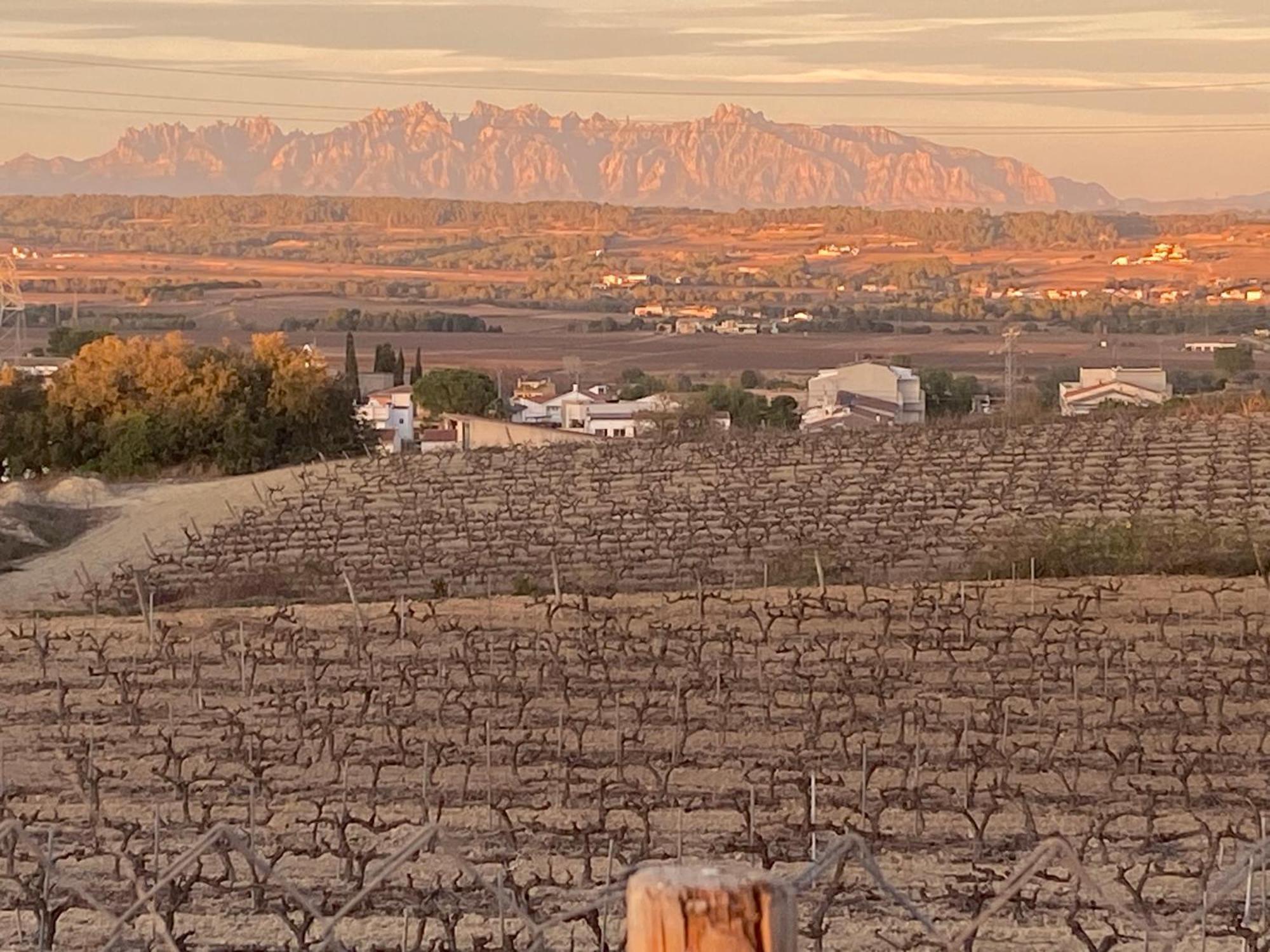 Cal Castla Villa La Granada Eksteriør bilde
